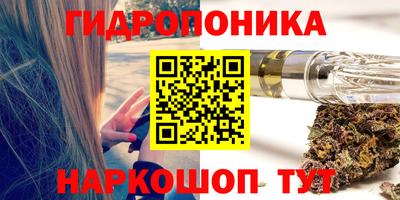 шишки Аша