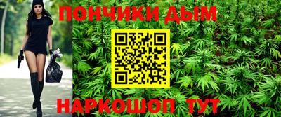 шишки Аша