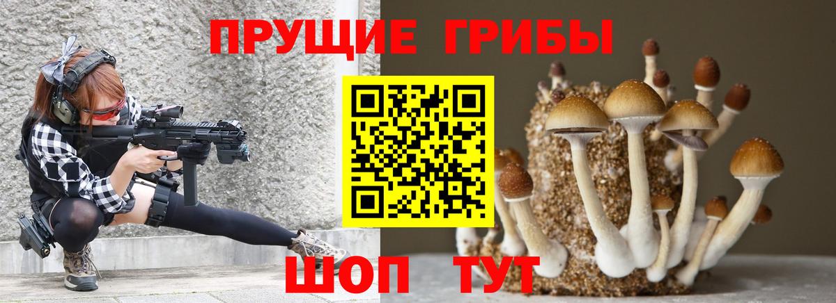 Юрга  Псилоцибиновые грибы ЛСД  Галлюциногенные грибы ЛСД  Вход с VPN 