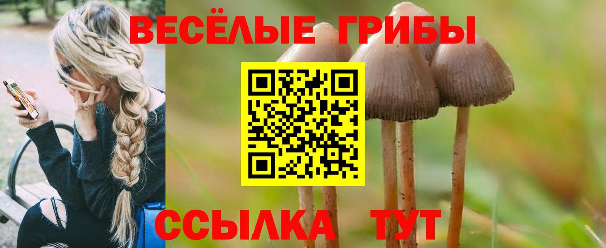Псилоцибиновые грибы прущие грибы Юрга
