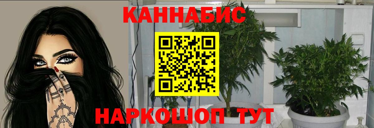 Шишки марихуана MAZAR  Вход с VPN  Юрга  Конопля планчик  Каннабис гибрид 